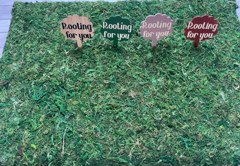 Rooting for You: The Power of Encouragement and Support in Achieving Success Rooting for You