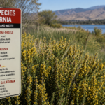 Invasive Species in California